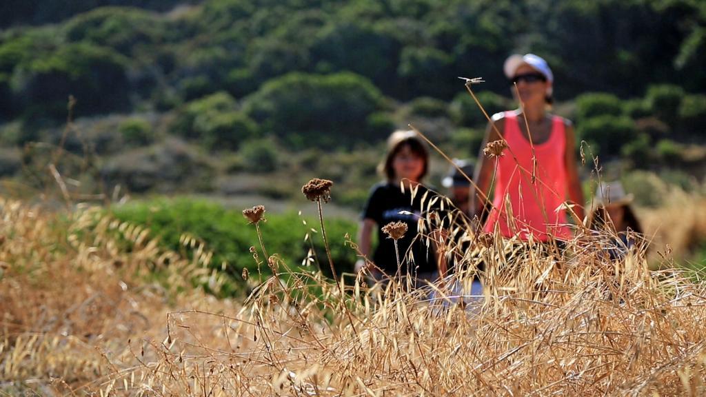 Village De Vacances Paese Di Lava, Grand Ajaccio アラタ エクステリア 写真